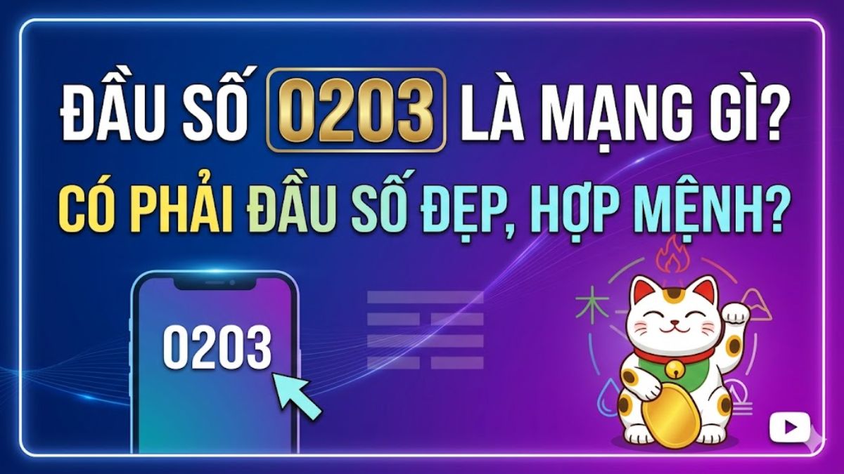Đầu số 0203 là mạng gì? Có phải đầu số đẹp, hợp mệnh không?